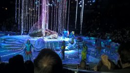 WP_20160211_21_43_33_Pro.jpg