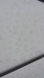 24904164845_aaefa89b56_c.jpg