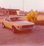 Mustang1.jpg
