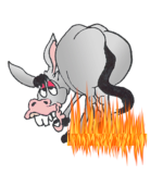 donkey.png