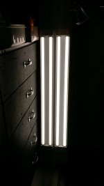 LED Light 2.jpg