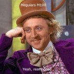 Megs M100.jpg
