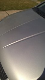 WP_20160304_14_04_56_Pro.jpg