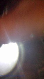 20160208_064755.jpg