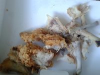 Churckes Chick Almost All Gone.jpg