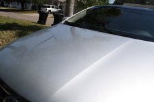 IMG_6569.JPG