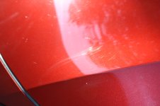 IMG_6595.JPG