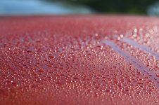 IMG_6618.JPG