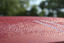 IMG_6619.JPG