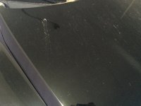 thumb_IMG_1415_1024.jpg