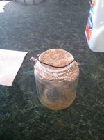 gnat_jar-3.jpg