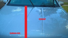 50-50 LSP.jpg