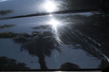 IMG_6728.JPG