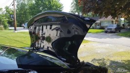 trunk4.jpg