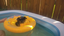 WP_20160709_17_33_00_Pro.jpg