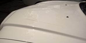 HOOD SHOT 1.jpg