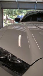 HOOD SHOT 2.jpg