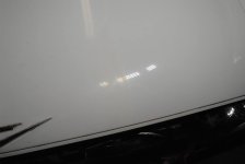 13925295_10154388435246613_2664888896361387613_n.jpg