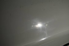 13886475_10154388435331613_7954403692343496818_n.jpg