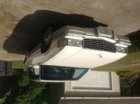 image.jpeg