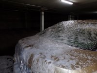 trunk.jpg