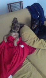 IMAG0179.jpg