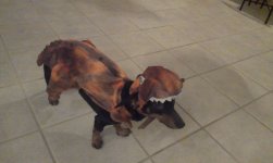 IMAG0488.jpg