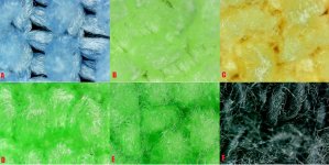 Microscope Towels.jpg