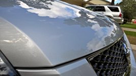 WP_20160905_11_20_56_Pro.jpg