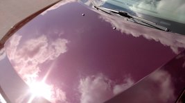 IMG_20160913_140509364.jpg