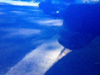 IMG_1162.JPG
