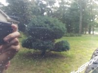 20161004_121055.jpg