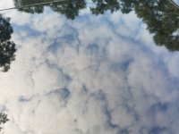 20161004_121123.jpg
