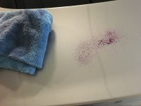 IMG_0106.JPG
