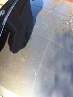 IMG_0120.JPG