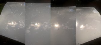 Week 1 Washed Upclose.ALL.jpg