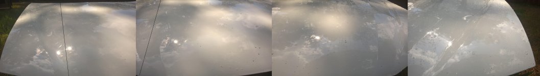 After Wash Separate Shots..jpg