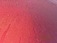 IMG_0636.JPG