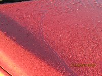 IMG_0637.JPG