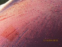 IMG_0638.JPG
