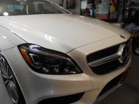 CLS Detail Polish Angel 001.JPG