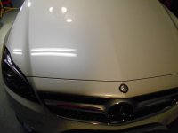 CLS Detail Polish Angel 003.JPG