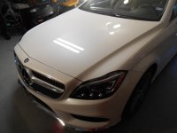 CLS Detail Polish Angel 004.JPG