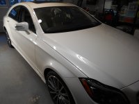 CLS Detail Polish Angel 008.JPG