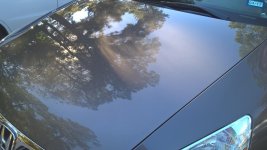 WP_20161130_11_20_58_Pro.jpg