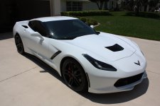 white-stingray.jpg