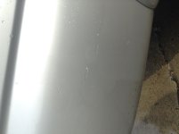 image.jpeg
