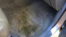 WP_20170102_13_32_05_Pro.jpg