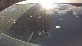 WP_20170122_14_22_21_Pro.jpg