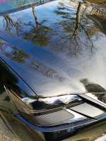 20170129_105020.jpg